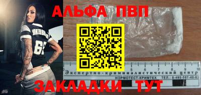 прущие грибы Сланцы