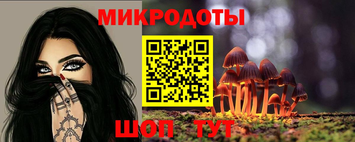 Псилоцибиновые грибы Cubensis  где найти наркотики  Новокубанск  Вход с VPN 